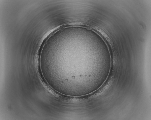 X0000113270933200909241540