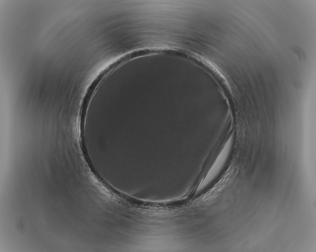 X0000113270935200909241540