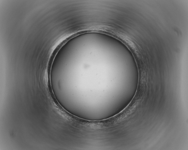 X0000113270936200909241540