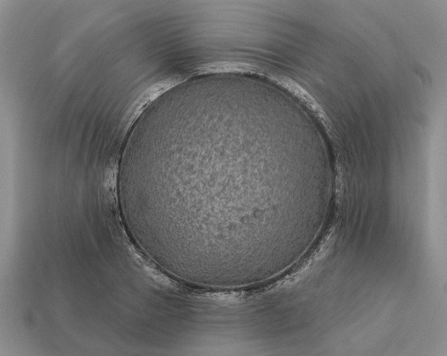 X0000113270937200909241540
