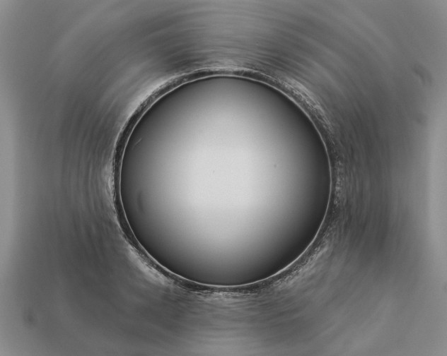 X0000113270942200909241540