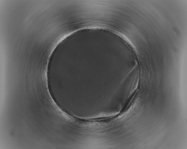 X0000113270943200909241540