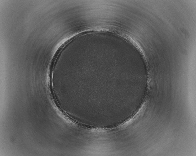 X0000113270944200909241540