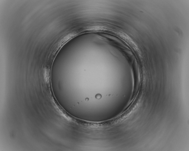 X0000113270945200909241540