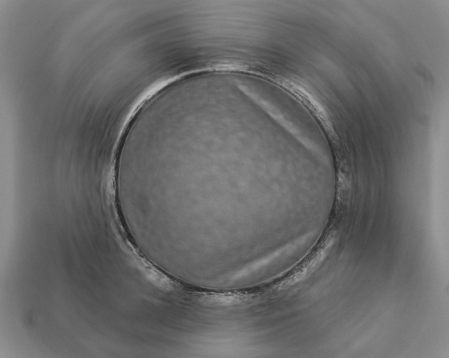 X0000113270948200909241540
