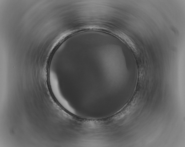 X0000113270950200909241540