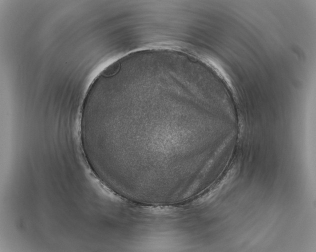 X0000113270952200909241540