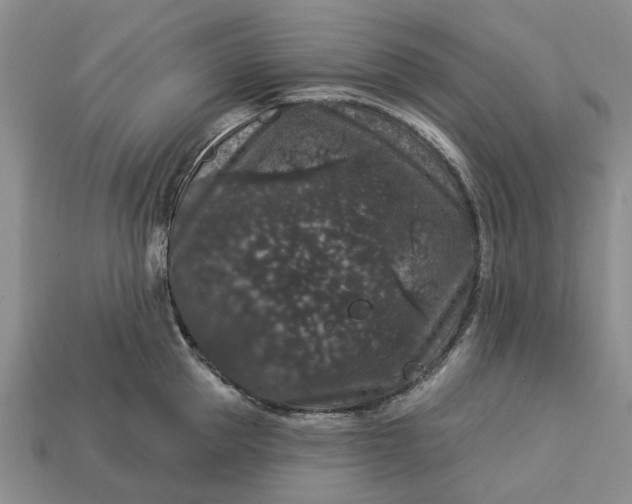 X0000113270953200909241540