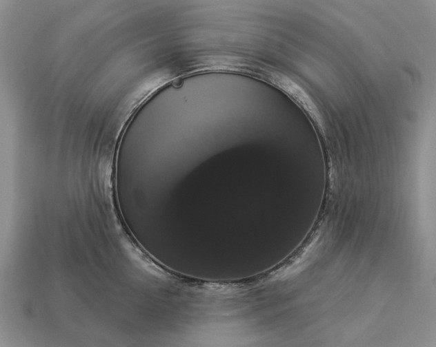 X0000113270954200909241540