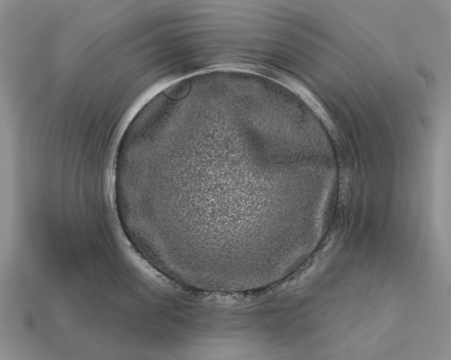 X0000113270955200909241540