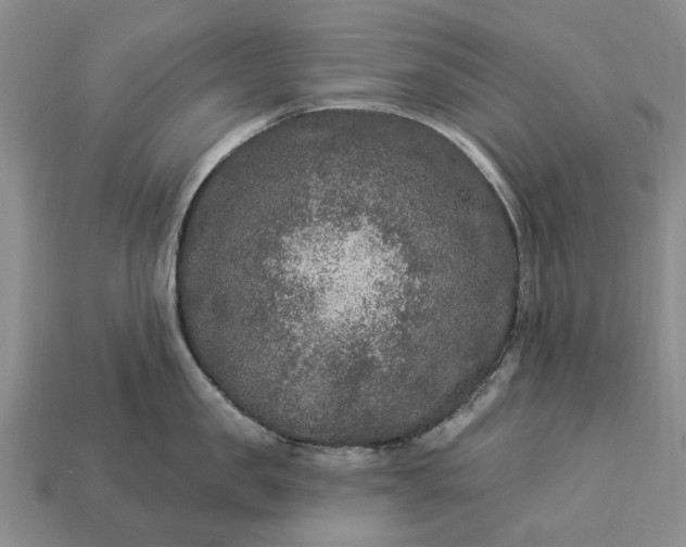 X0000113270957200909241540