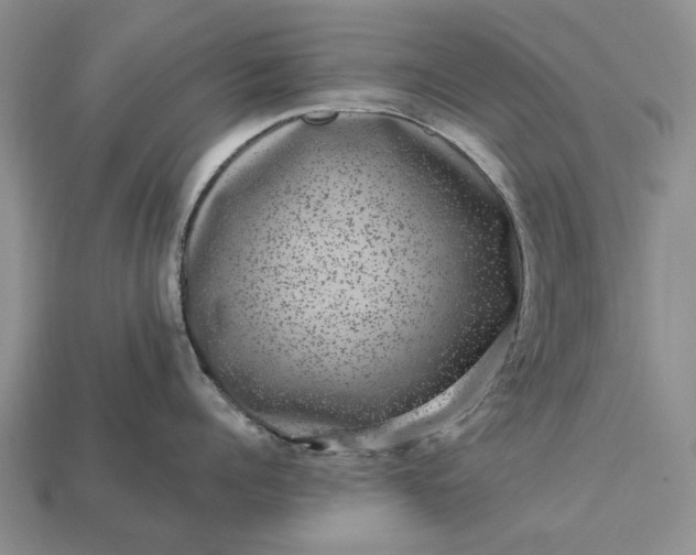 X0000113270960200909241540