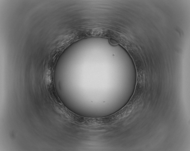 X0000113270962200909241539