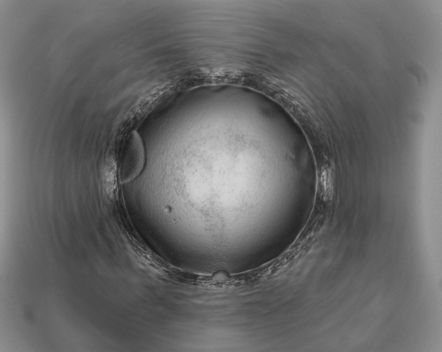 X0000113270963200909241539