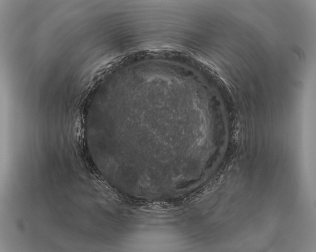 X0000113270966200909241539