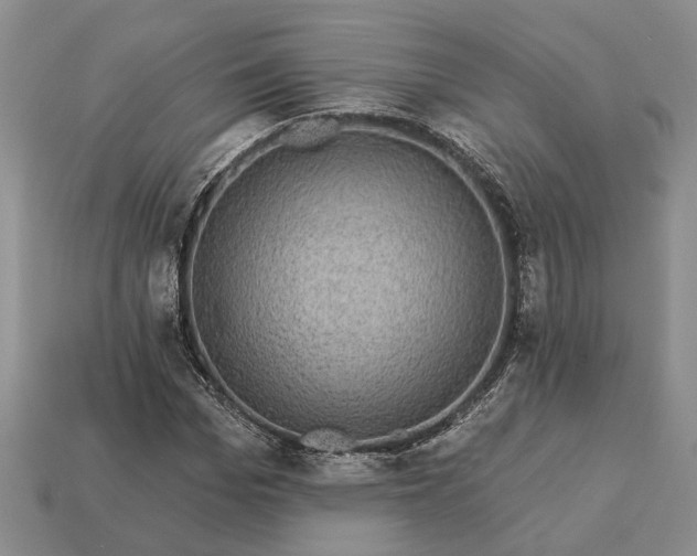 X0000113270969200909241539