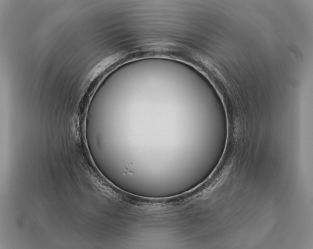 X0000113270970200909241539