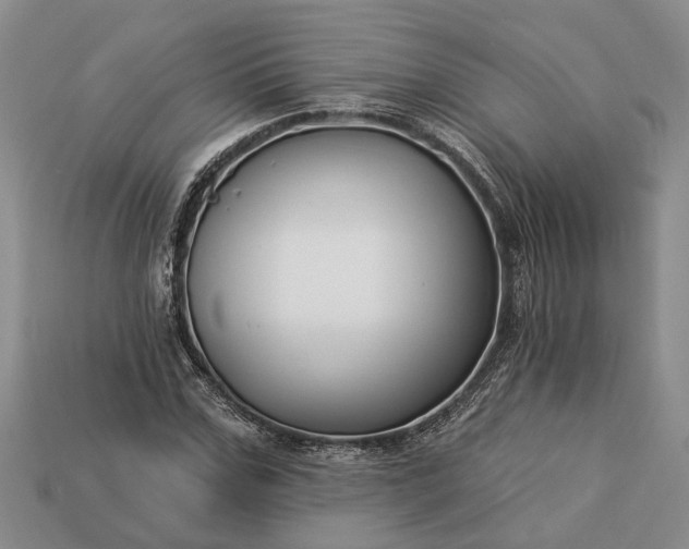X0000113270971200909241539