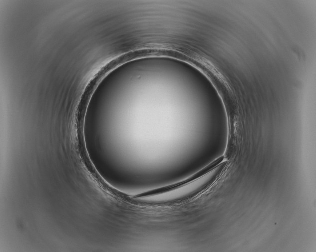 X0000113270972200909241539