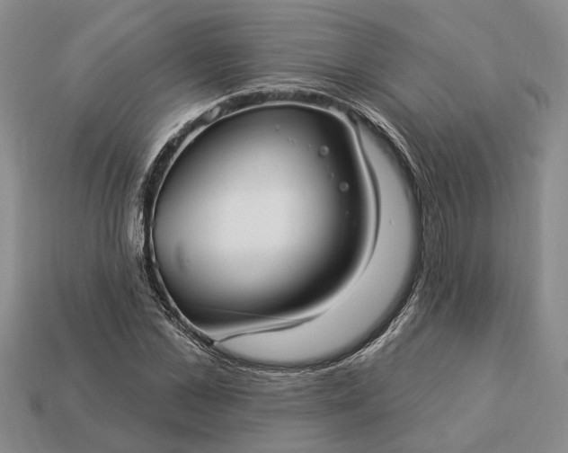 X0000113270973200909241539