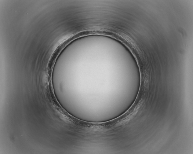 X0000113270974200909241539