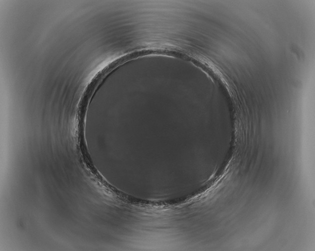 X0000113270975200909241539