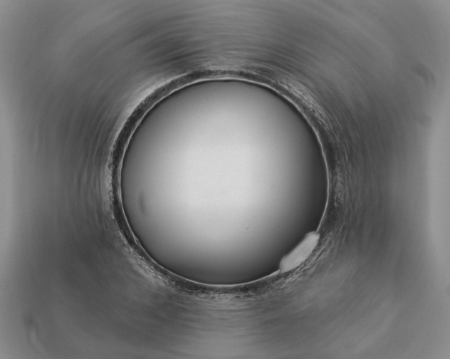 X0000113270976200909241539