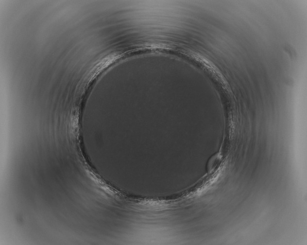 X0000113270977200909241539