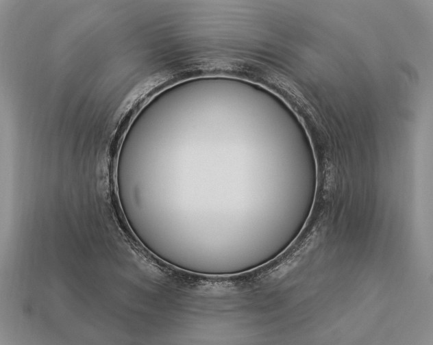 X0000113270978200909241539
