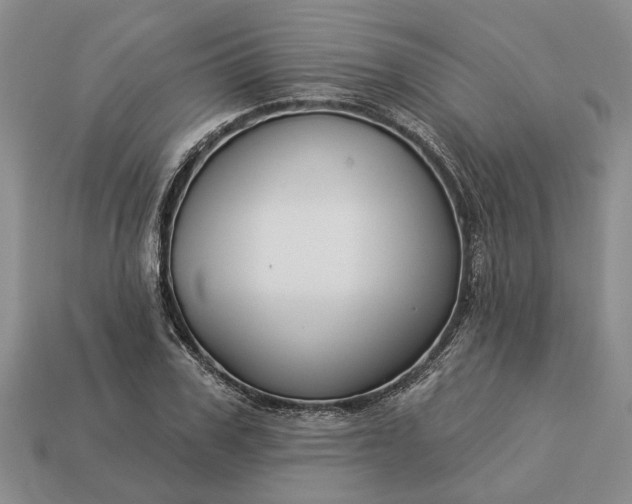 X0000113270979200909241539