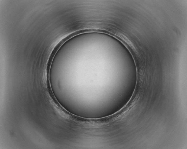 X0000113270980200909241539