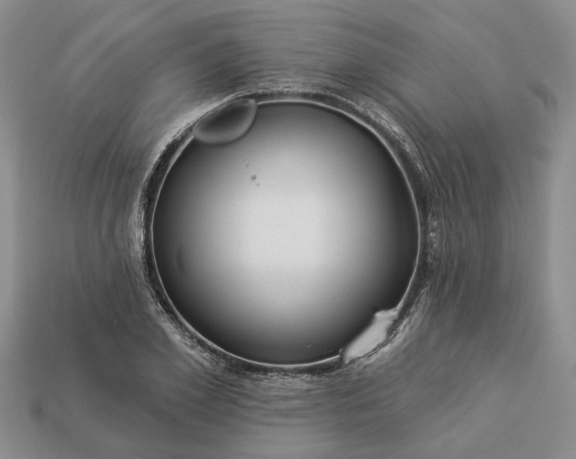 X0000113270981200909241539