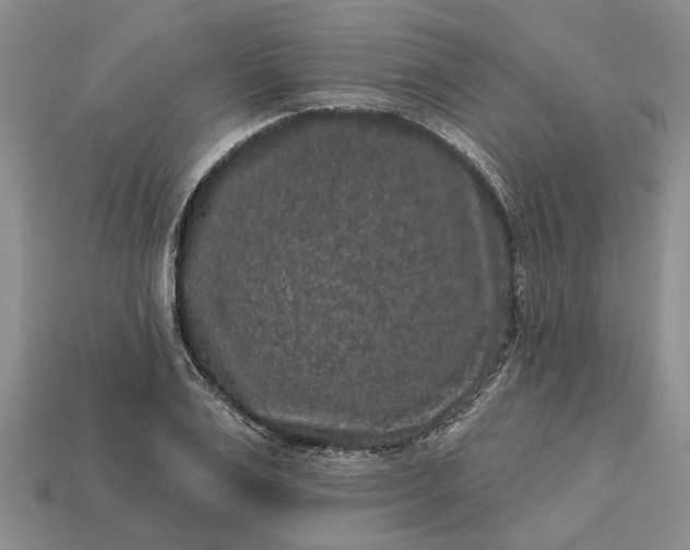 X0000113270983200909241539