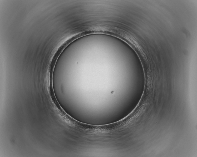 X0000113270984200909241539