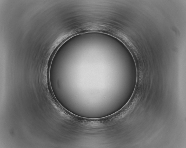 X0000113270986200909241539