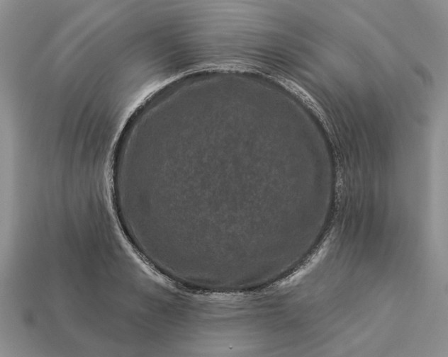 X0000113270989200909241539