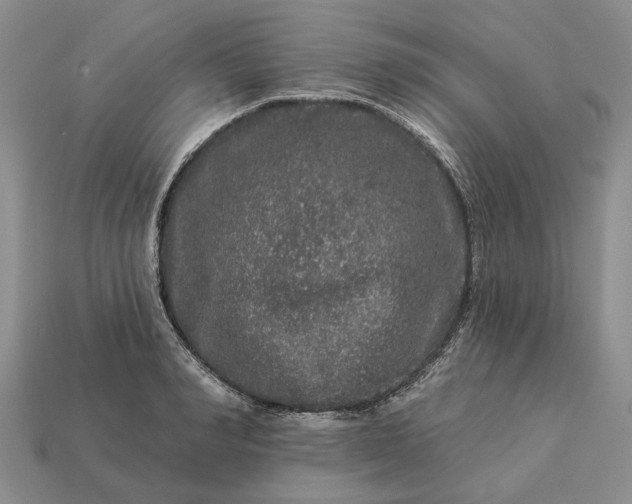 X0000113270990200909241539
