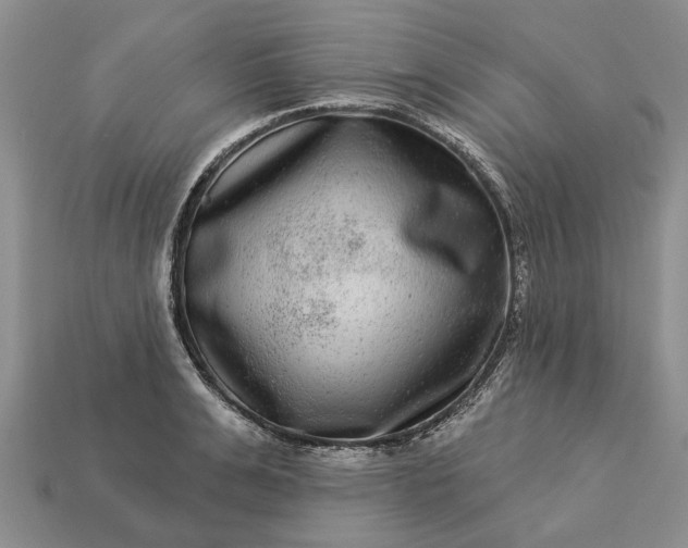 X0000113270991200909241539