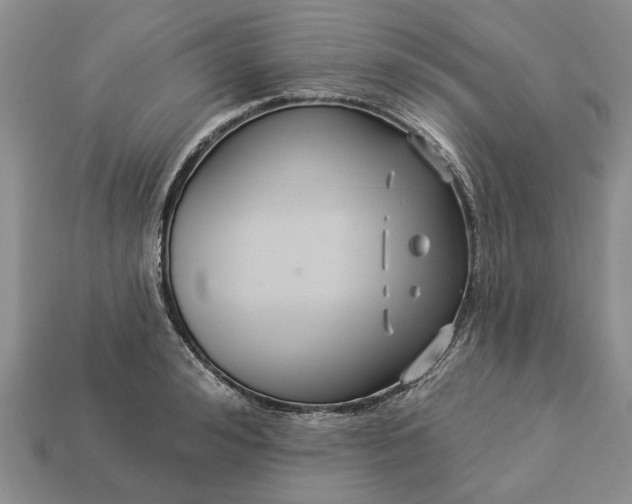 X0000113270992200909241539