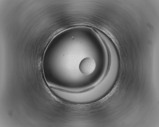 X0000113270993200909241539