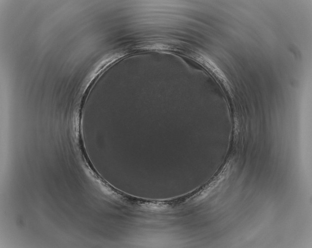 X0000113270994200909241539