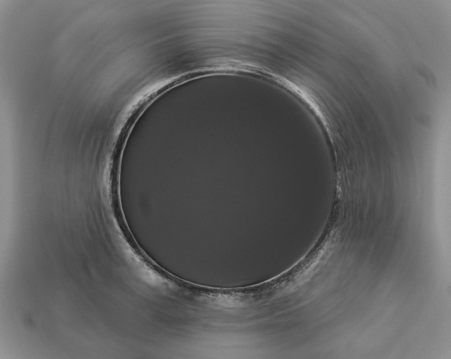 X0000113270995200909241539