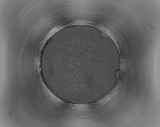 X0000113270997200909241539