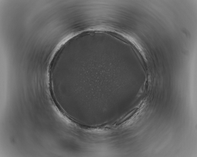 X0000113270998200909241539