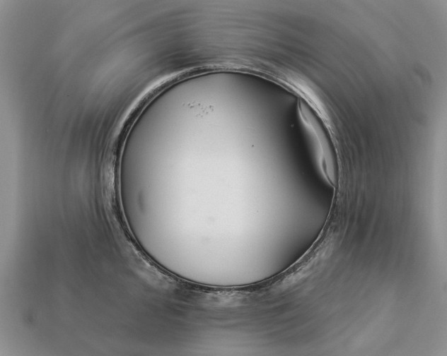 X0000113271000200909241539
