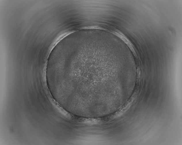 X0000113271002200909241539