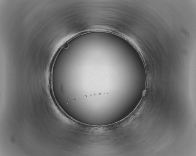 X0000113271003200909241539