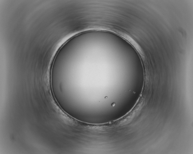 X0000113271004200909241539