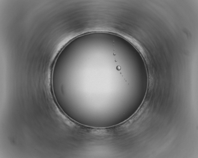 X0000113271006200909241539