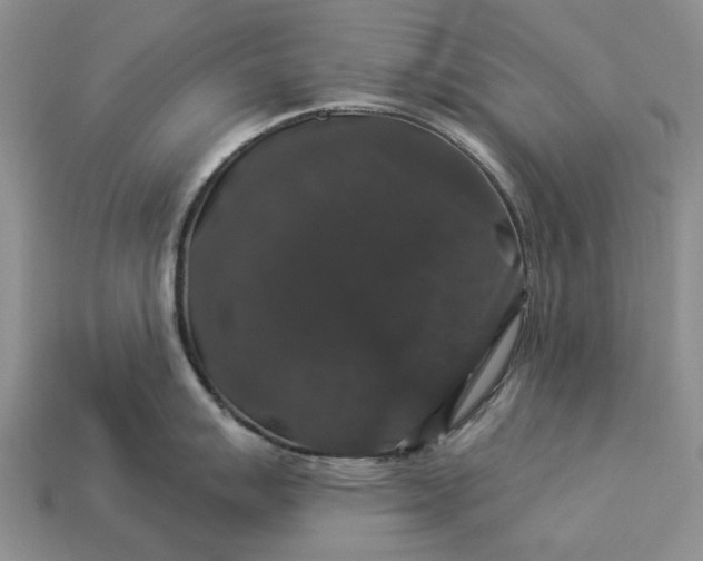 X0000113271007200909241539